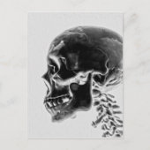 Carte Postale Crâne de rayon X (Devant)