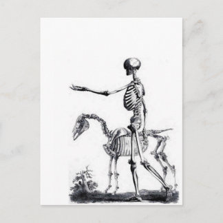 Carte Postale Crâne de squelette Halloween Jour des morts imprim