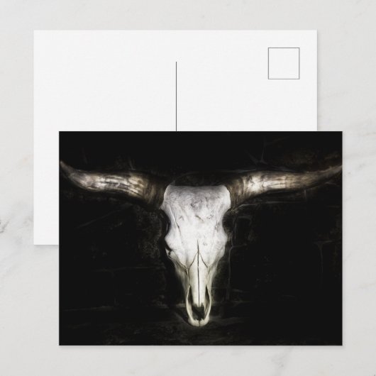 Carte Postale Crâne de vache (Devant / Derrière)