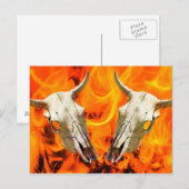Carte Postale Crâne de vache et feu (Devant / Derrière)