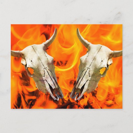 Carte Postale Crâne de vache et feu (Devant)