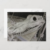 Carte Postale Crâne décoratif (Devant / Derrière)