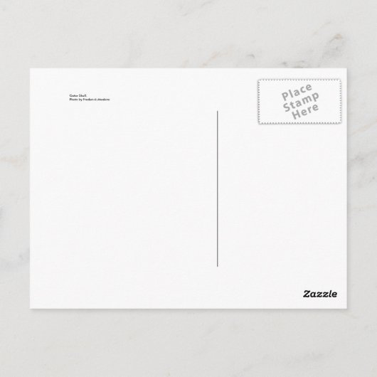 Carte Postale Crâne décoratif (Dos)