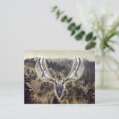 Carte Postale Crâne d'elfe (Debout devant)