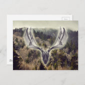 Carte Postale Crâne d'elfe (Devant / Derrière)