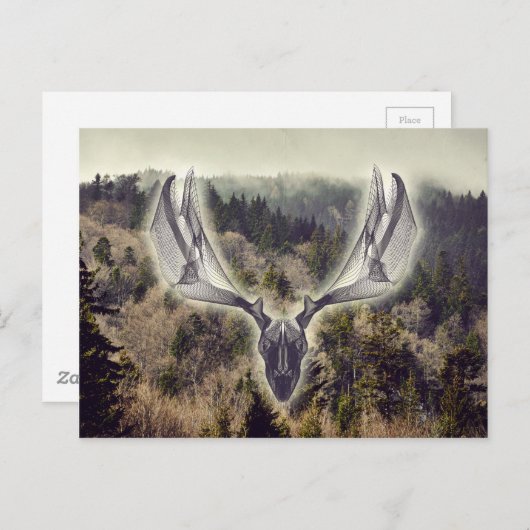 Carte Postale Crâne d'elfe (Devant / Derrière)