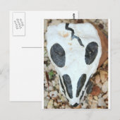 Carte Postale crâne dia del muerte (Devant / Derrière)