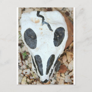 Carte Postale crâne dia del muerte