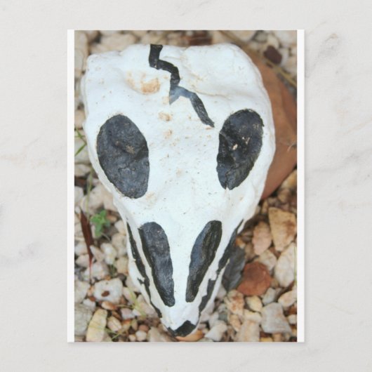 Carte Postale crâne dia del muerte (Devant)