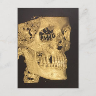 Carte Postale Crâne effrayant