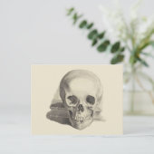 Carte Postale Crâne et livre (Debout devant)
