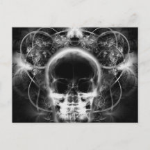 Crâne fractal à papillon X-Ray - B&W