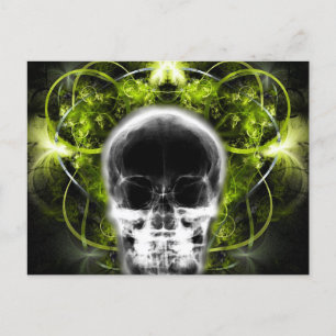 Carte Postale Crâne fractal à papillon X-Ray - Vert chaux