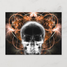 Crâne fractale à papillon X-Ray - Orange