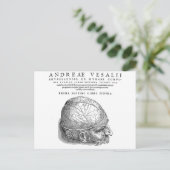 Carte Postale Crâne humain (Debout devant)