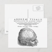 Carte Postale Crâne humain (Devant / Derrière)