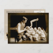 Carte Postale Crâne humain traité (Devant / Derrière)