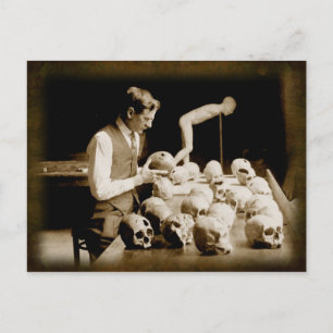 Carte Postale Crâne humain traité