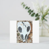 Carte Postale crâne peint (Debout devant)