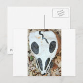 Carte Postale crâne peint (Devant / Derrière)