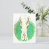Carte Postale Crâne Platypus (Debout devant)