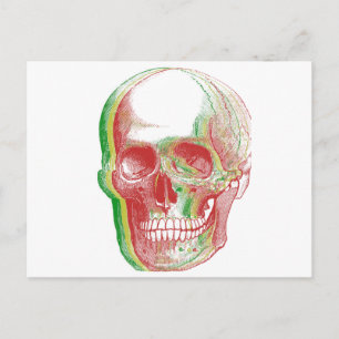 Carte Postale Crâne Rasta à trois couleurs