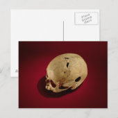 Carte Postale Crâne répété (Devant / Derrière)