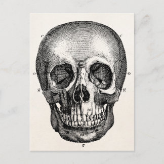 Carte Postale Crâne vintage des années 1800 Crâne Retro Skeleton