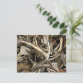 Carte Postale Crânes de cerfs Camo (Debout devant)