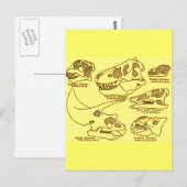 Carte Postale Crânes de dinosaures (Devant / Derrière)
