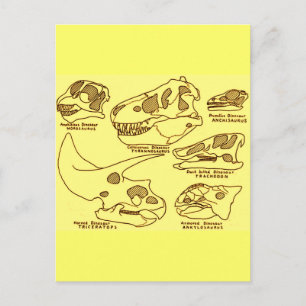 Carte Postale Crânes de dinosaures