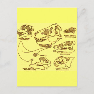 Carte Postale Crânes de dinosaures