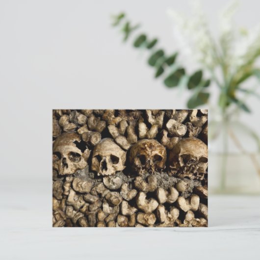Carte postale Crânes et os Catacombes de Paris (Debout devant)
