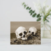 Carte Postale Crânes sur les îles Punuk, mer de Béring (Debout devant)