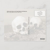 Carte Postale Crânes sur les îles Punuk, mer de Béring (Dos)