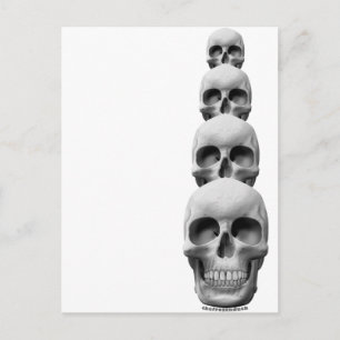 Carte Postale Crânes - Verticaux
