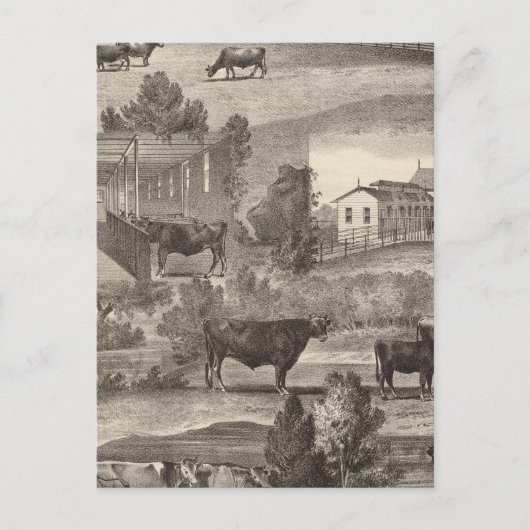 Carte Postale Cranmoor Farm, Toms River, NJ (Devant)