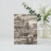 Carte Postale Cranmoor Farm, Toms River, NJ (Debout devant)