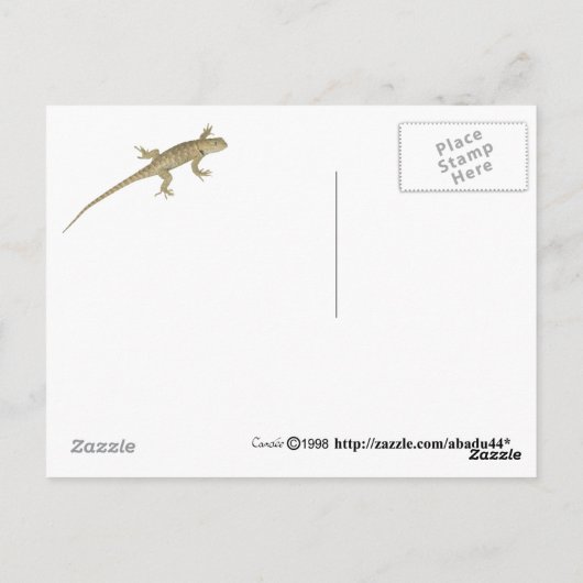 Carte Postale crapaud à cornes (Dos)