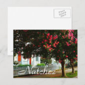 Carte Postale Crape Myrtle, été à Natchez, MS (Devant / Derrière)