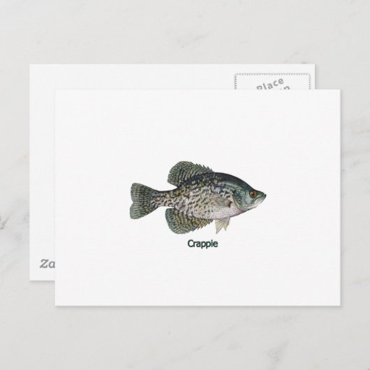 Carte Postale Crappie (titre) (Devant / Derrière)