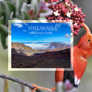 Carte Postale Cratère de Haleakala, Sommet, Parc national de Hal