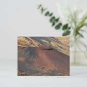 Carte Postale cratère Etna 1 (Debout devant)