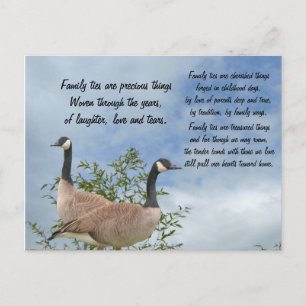 Carte postale Cravate famille