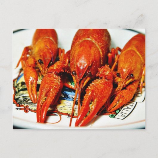Carte Postale Crawfish Crawdads Éclair (Devant)