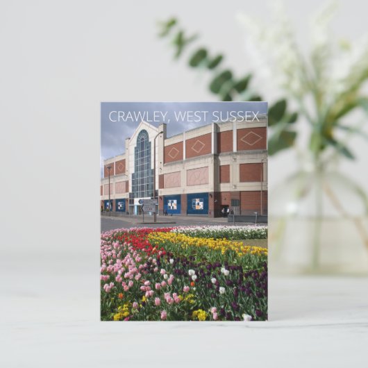 Carte Postale Crawley (Debout devant)