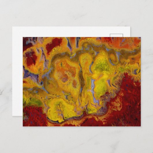 Carte Postale Crayola Jasper (Devant / Derrière)