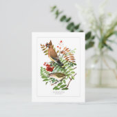 Carte Postale Crayon et Vireo (Debout devant)