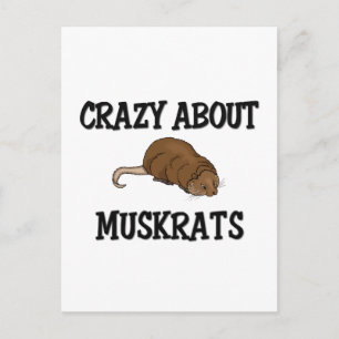 Carte Postale Crazy à propos de Muskrats