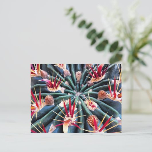 Carte postale Crazy Cactus (Debout devant)